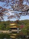 Kireina Kinkakuji * 450 x 600 * (247KB)
